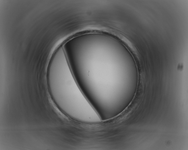 X0000093400791200710120855