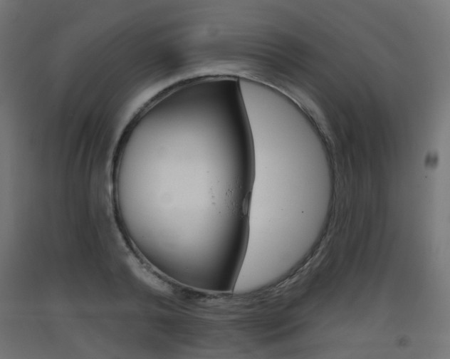 X0000093400792200710120855