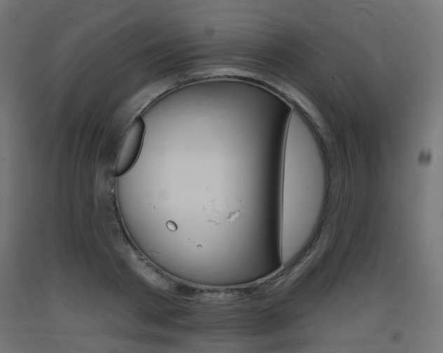 X0000093400793200710120855