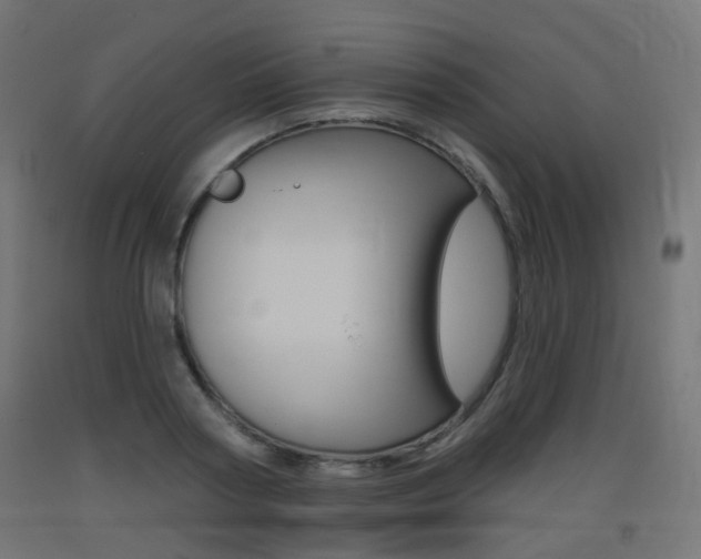X0000093400794200710120855