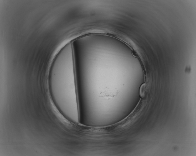 X0000093400795200710120855