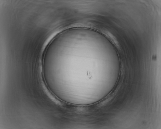 X0000093400796200710120855