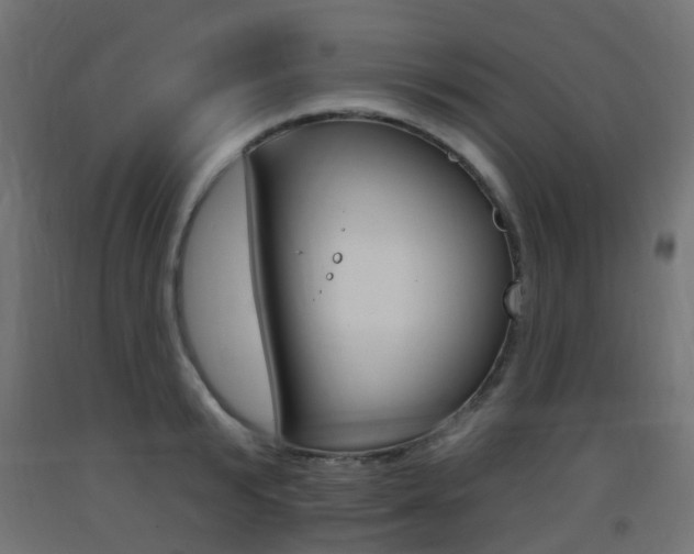 X0000093400799200710120855
