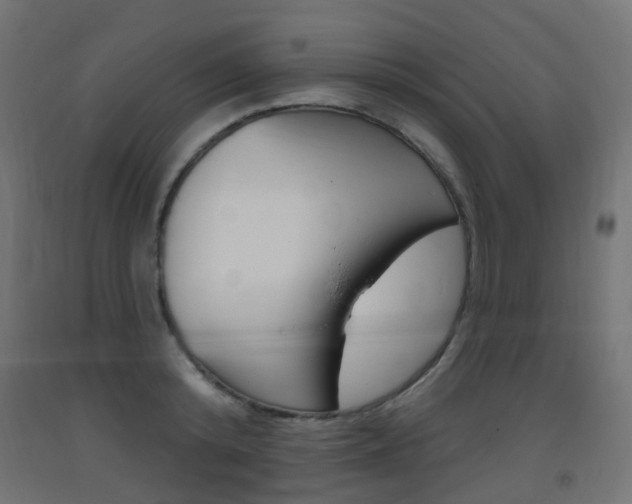 X0000093400800200710120855