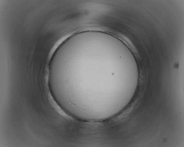 X0000093400804200710120855
