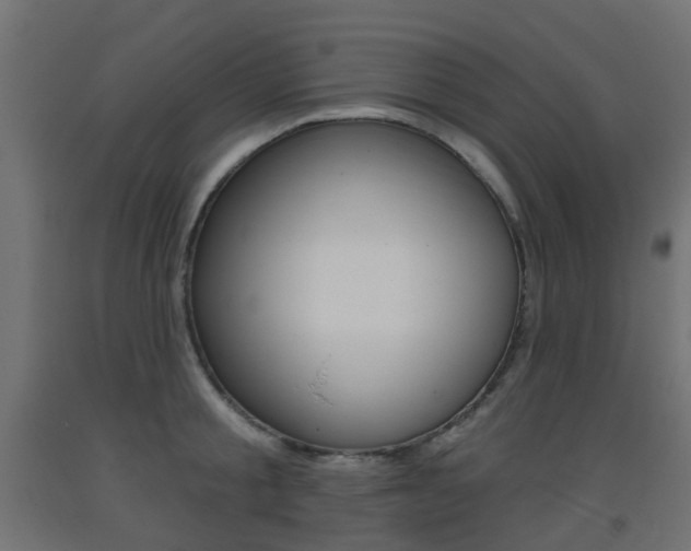 X0000093400805200710120855