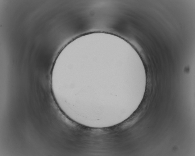 X0000093400807200710120855