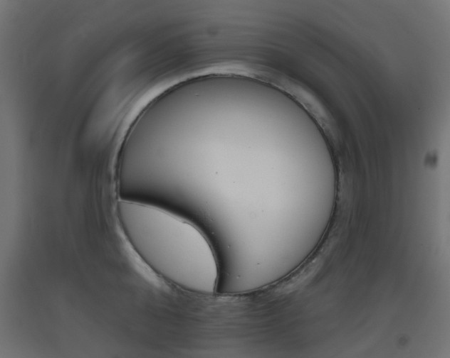 X0000093400808200710120855