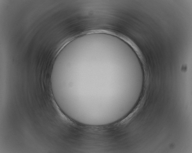 X0000093400809200710120855