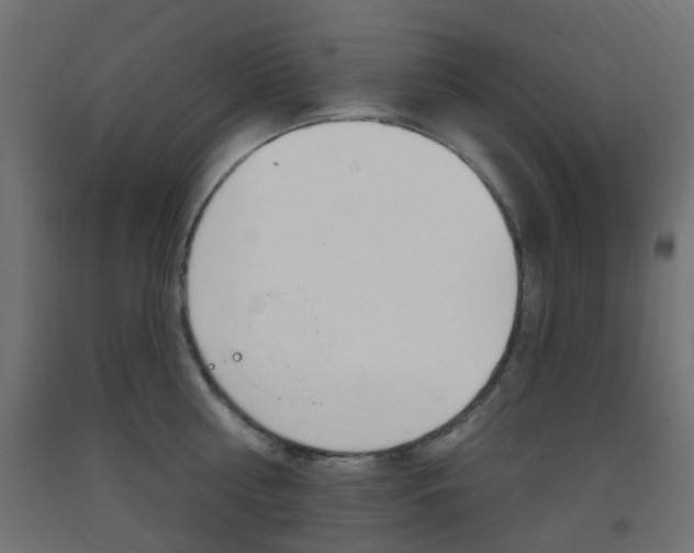 X0000093400810200710120855