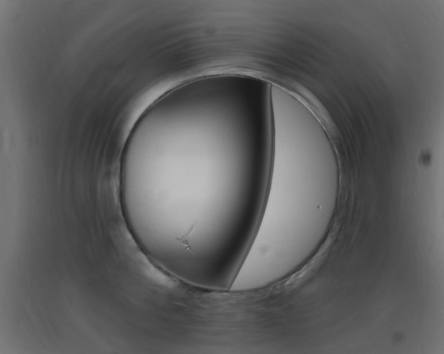 X0000093400812200710120855