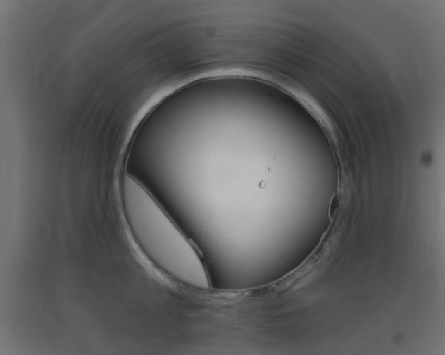 X0000093400813200710120855