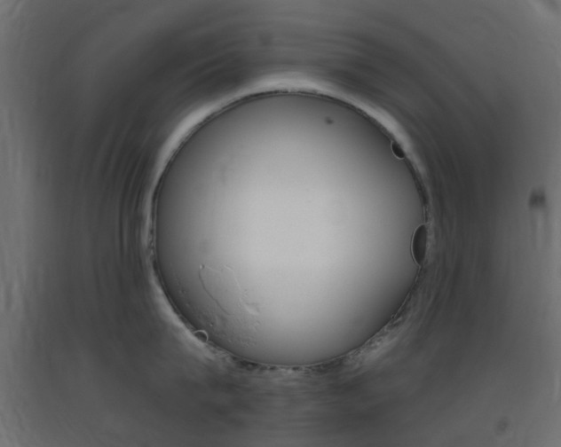 X0000093400815200710120855