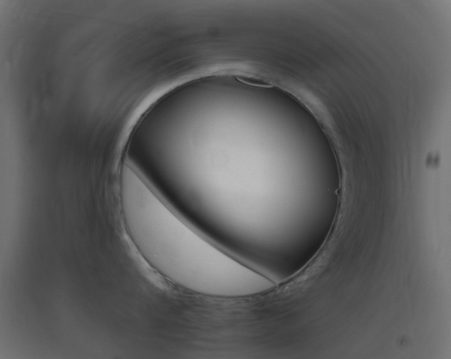 X0000093400816200710120855