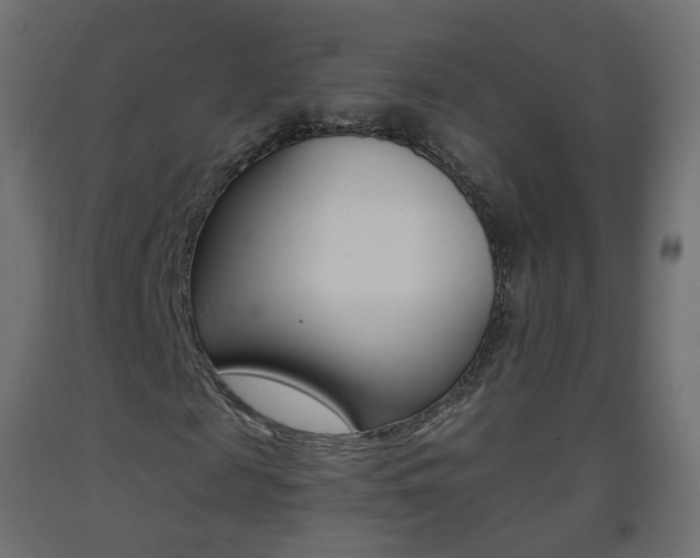 X0000093400817200710120854
