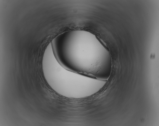 X0000093400818200710120854