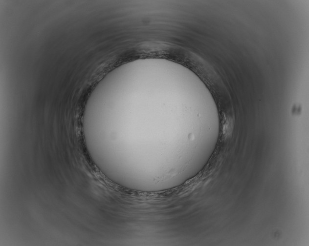 X0000093400819200710120854