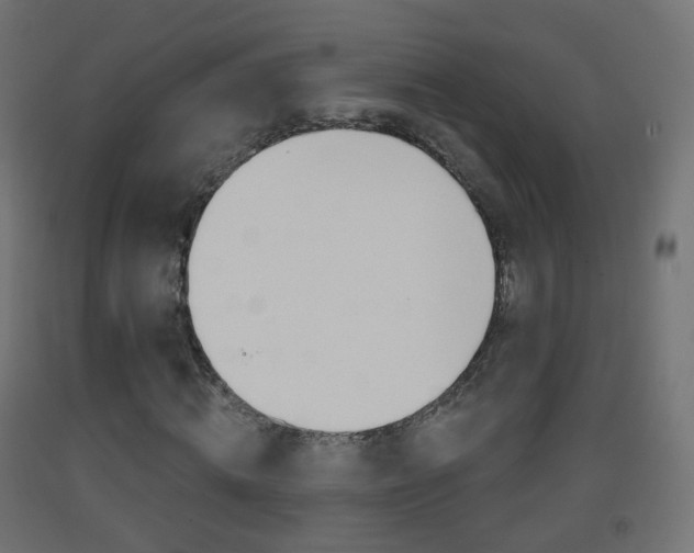 X0000093400820200710120854