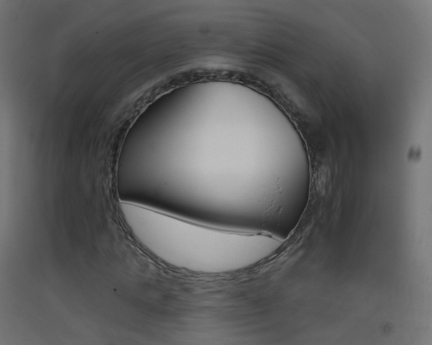 X0000093400821200710120854