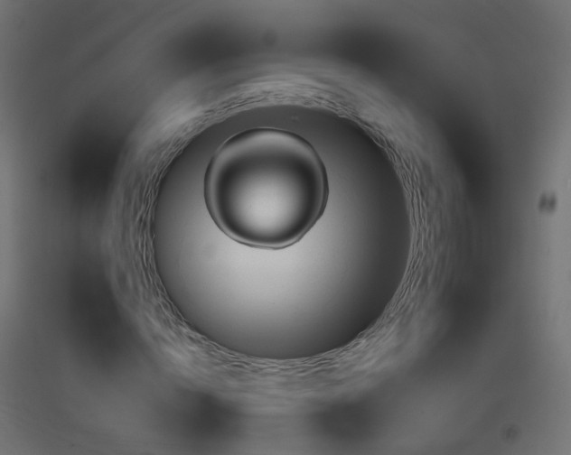 X0000093400822200710120854