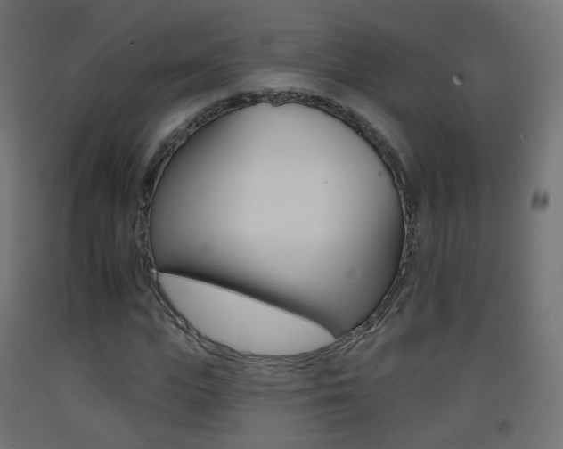 X0000093400823200710120854