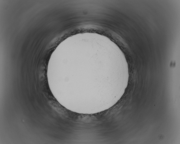 X0000093400824200710120854