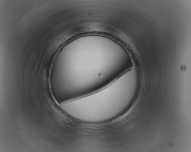 X0000093400825200710120854