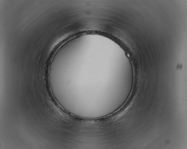 X0000093400826200710120854