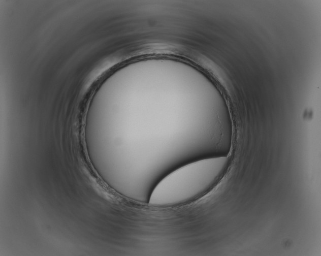 X0000093400827200710120854