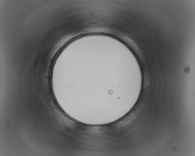 X0000093400828200710120854