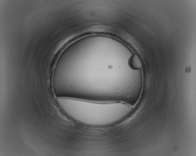 X0000093400829200710120854