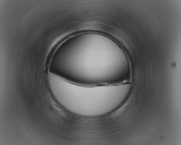 X0000093400830200710120854