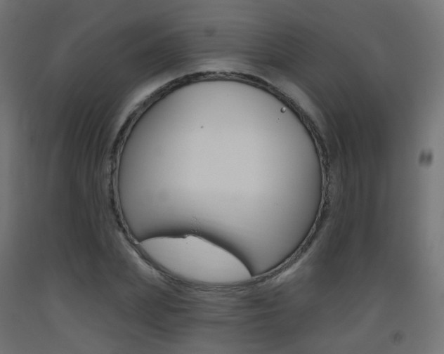 X0000093400831200710120854