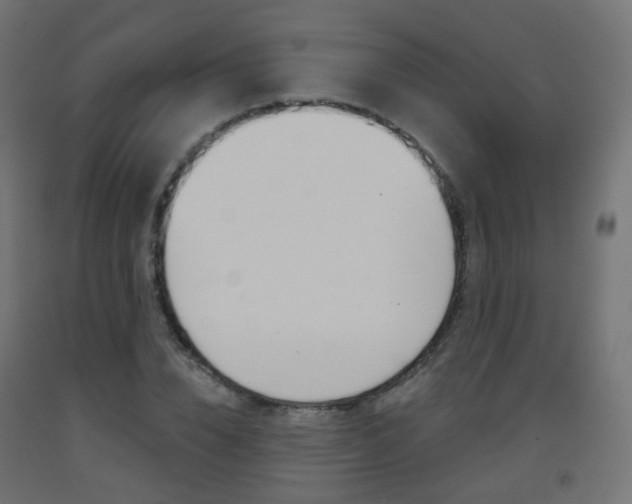 X0000093400832200710120854