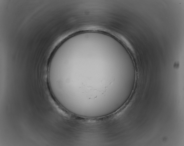 X0000093400839200710120854