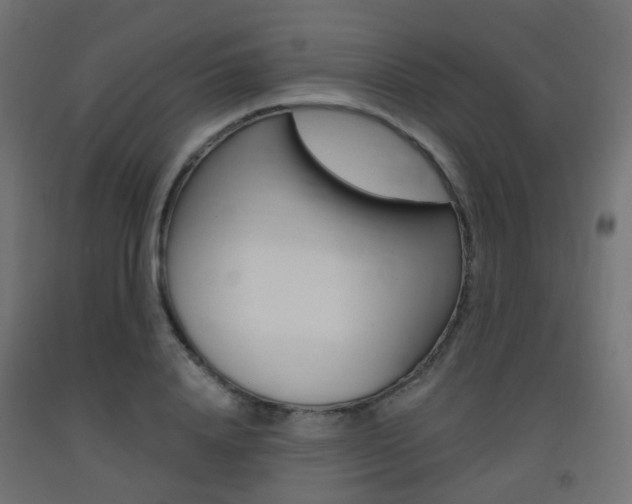 X0000093400840200710120854