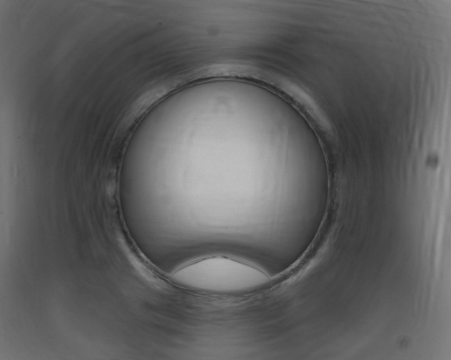X0000093400841200710120854