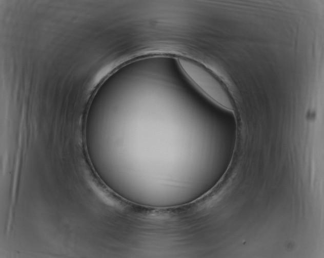 X0000093400842200710120854