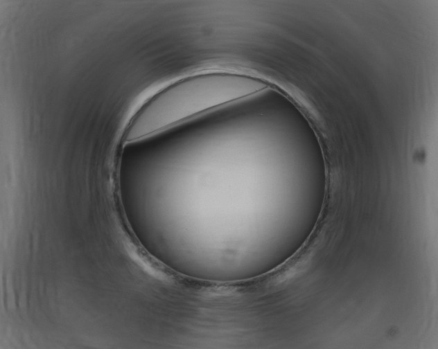 X0000093400846200710120854