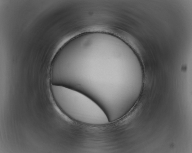 X0000093400847200710120854