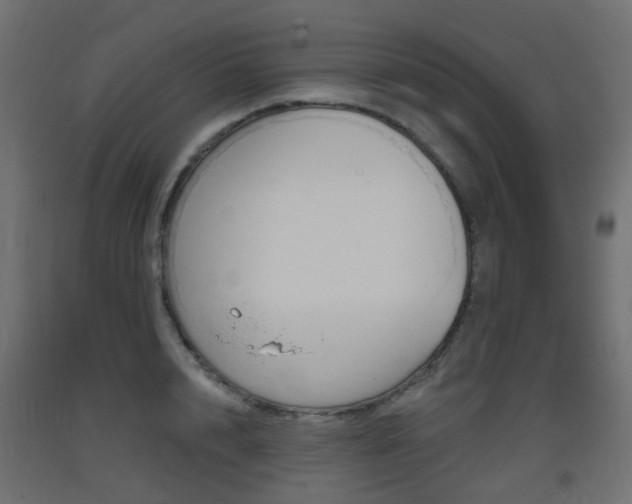X0000093400848200710120854