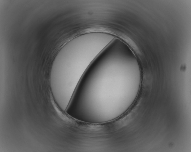 X0000093400849200710120854