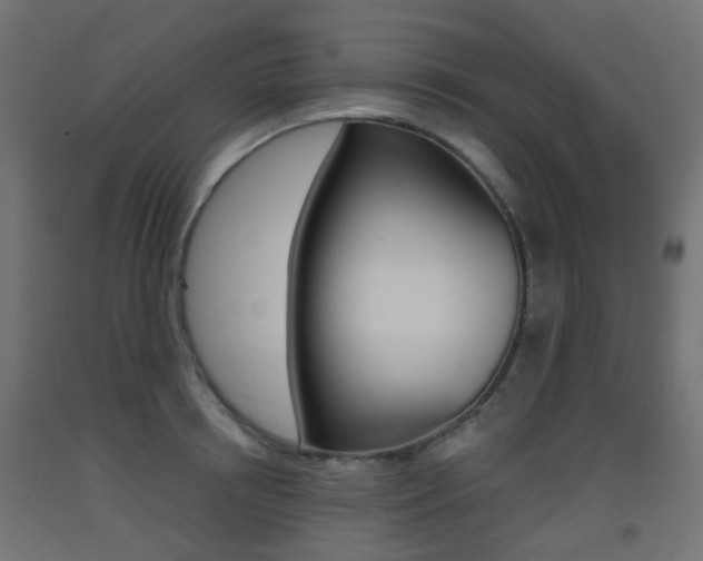 X0000093400850200710120854