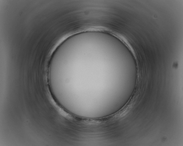 X0000093400851200710120854
