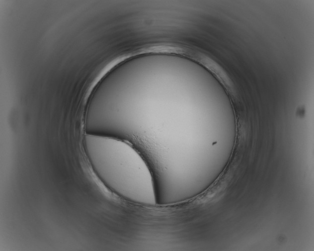 X0000093400852200710120854