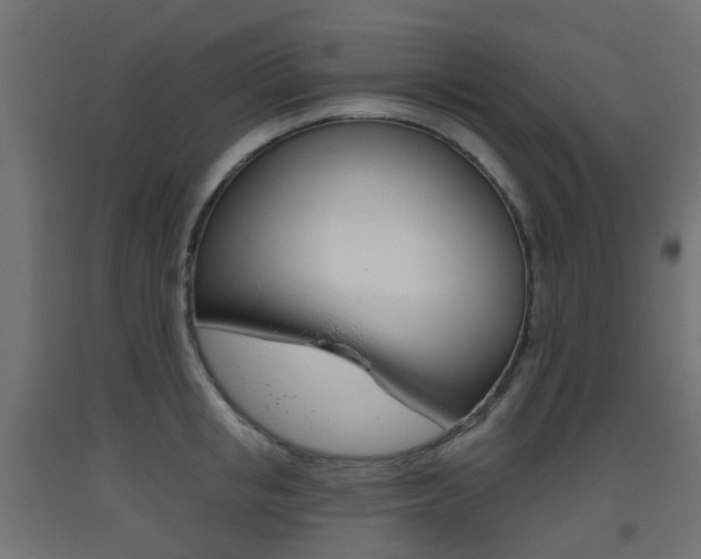 X0000093400853200710120854
