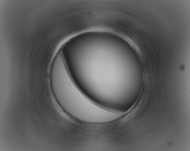 X0000093400854200710120854