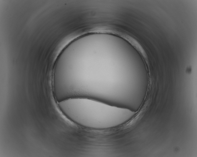 X0000093400855200710120854