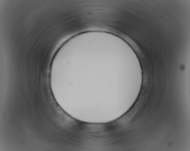 X0000093400856200710120854