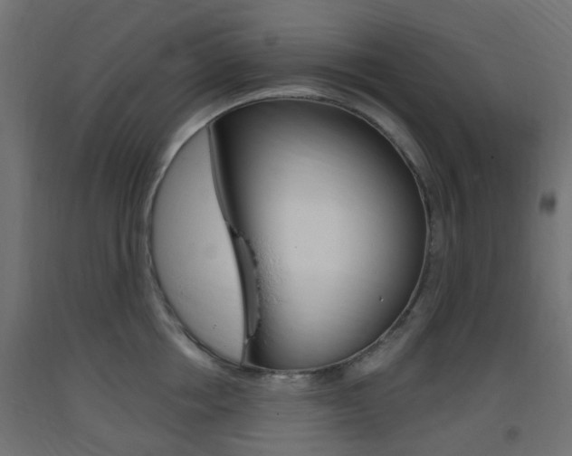 X0000093400858200710120855